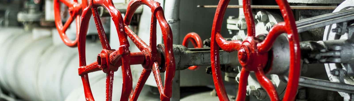 GE-Consolidated-Safety-Valves GE-Consolidated-Safety-Valves