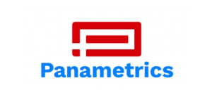 Panametrics-Logo