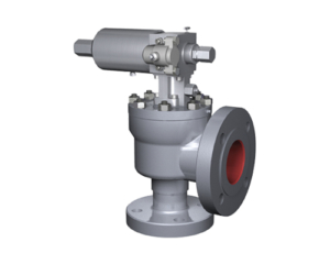 Interior_Consolidated Pilot-Operated Safety Relief Valve