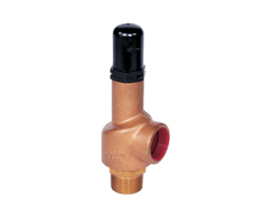 Interior_Consolidated Safety Relief Valve