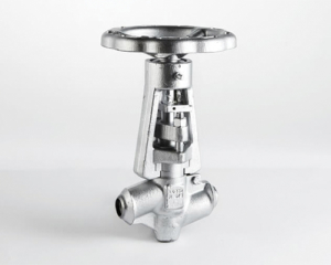 Interior_Klinger Globe Valve