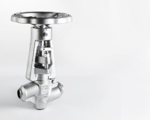 Klinger Globe Valve