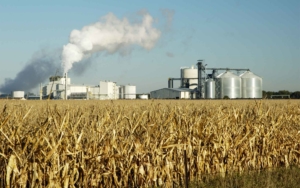Ethanol industry-producing-farm-land