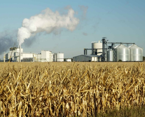 Ethanol-producing-farm-land