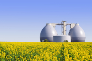 Biogas plant